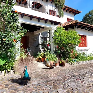 Y Jardines Casa Buho Hotel